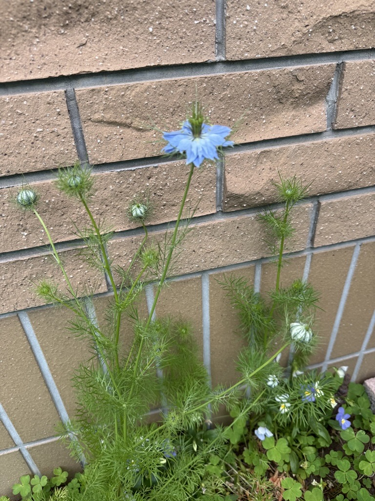 Image - 2026-04-30T105217.921